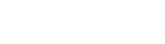 Organizer